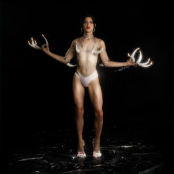 Arca