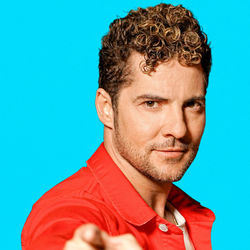 David Bisbal Lyrics