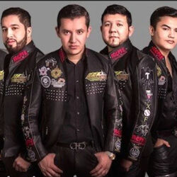 Grupo Maximo Grado