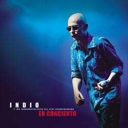 Indio Solari