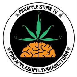 Pineapple StormTv Lyrics