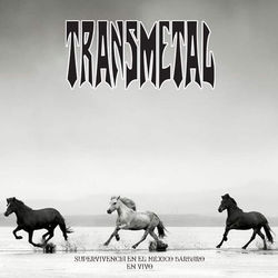Transmetal