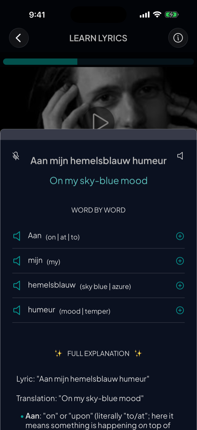 lyricfluent learn Dutch with music word-by-word screenshot