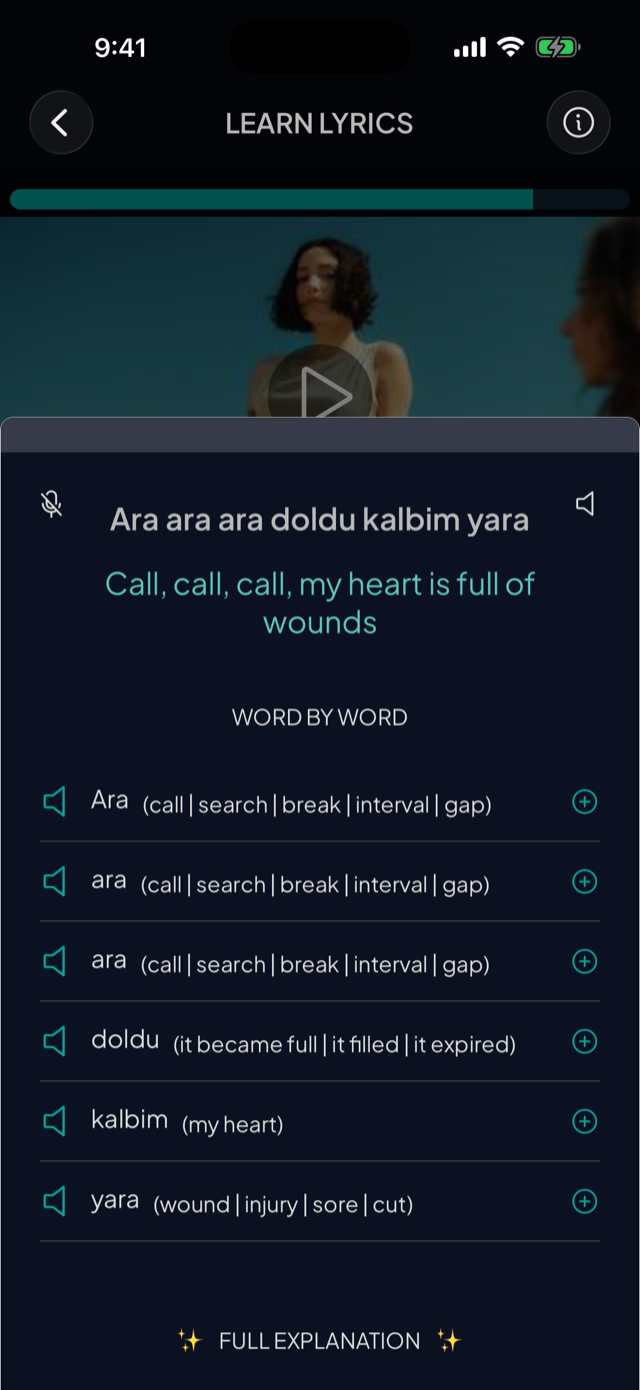 lyricfluent learn Turkish with music word-by-word screenshot