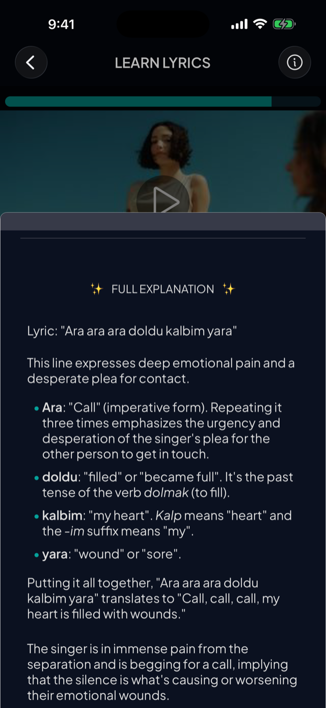lyricfluent learn Turkish with music lyric-explanation screenshot